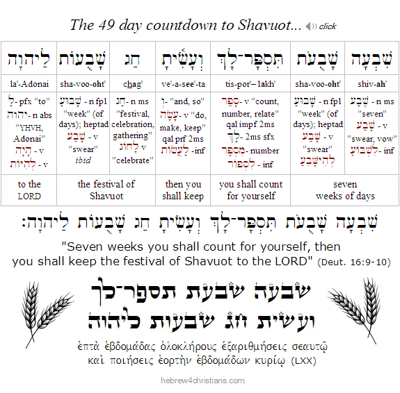 Deut. 16::9-10 Hebrew 