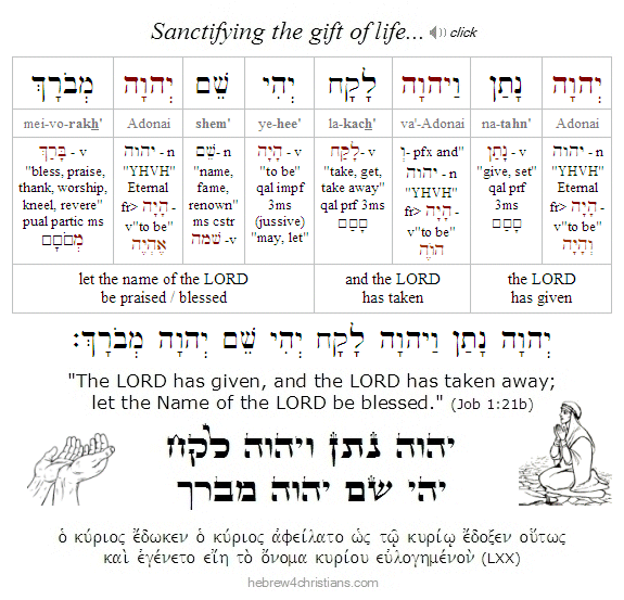 Job 1:21b Hebrew Lesson