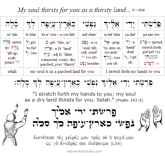 Psalm 143:6 Hebrew Lesson
