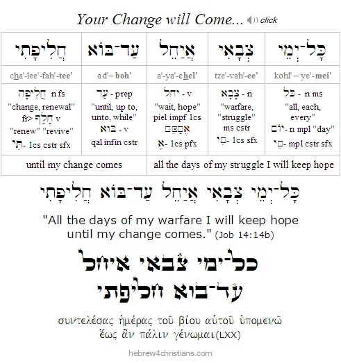 Job 14:14 Hebrew analysis