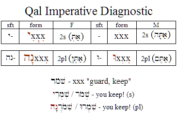 Qal Perfect Strong Diagnostic