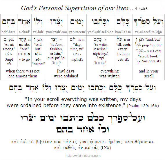 Psalm 18:28 Hebrew Lesson