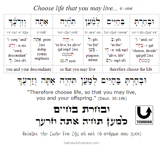 Deuteronomy 30:19b Hebrew Lesson