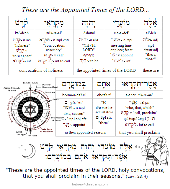 Leviticus 23:4 Hebrew Lesson