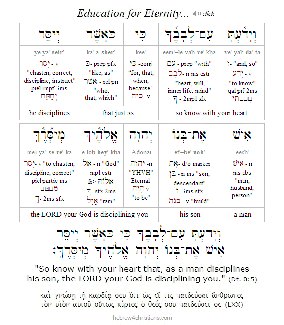 Deut. 8:5 Hebrew Lesson