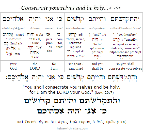 Lev. 20:7 Hebrew Lesson