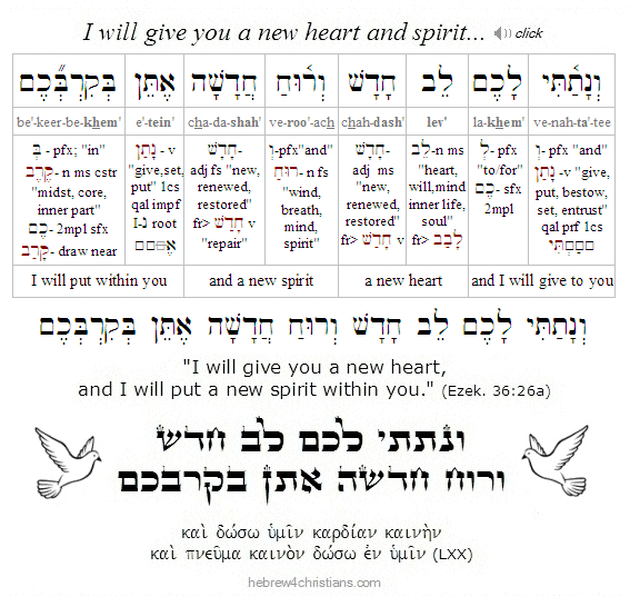 Ezek 36:26a Hebrew Analysis