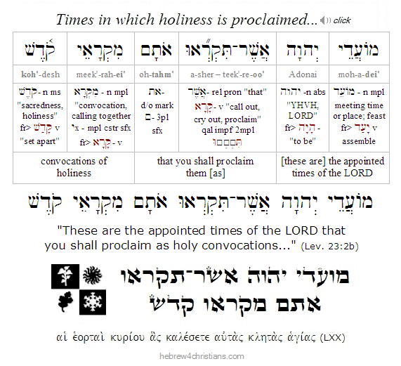 Leviticus 23:2b Hebrew Lesson