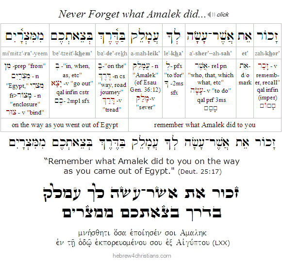 Deut. 25:17 Remember Amalek!