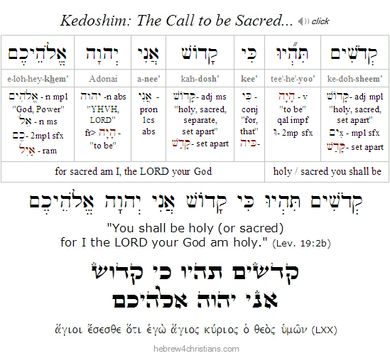 Leviticus 19:2b Hebrew Analysis